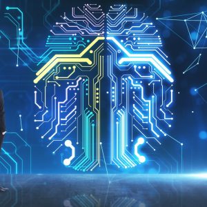 Lead AI Risk Manager